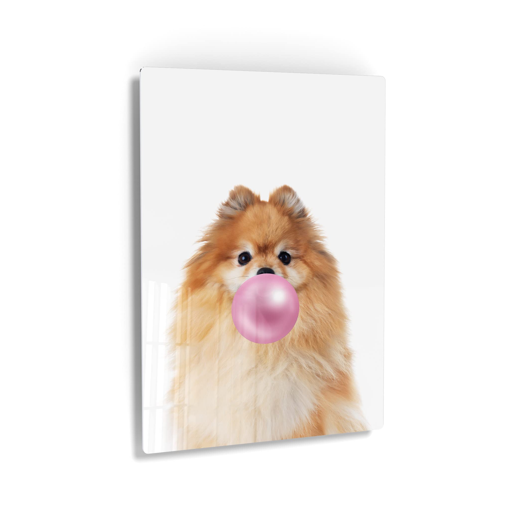 Pomeranian Dog Chewing Pink Bubble Gum Metal Wall Art Print - Pet Lover Gift, Animal Pop Art for Office, Living Room, Bedroom & Nursery Decor (12x8 inches) - Perfect for Dog Lovers & Home Decoration