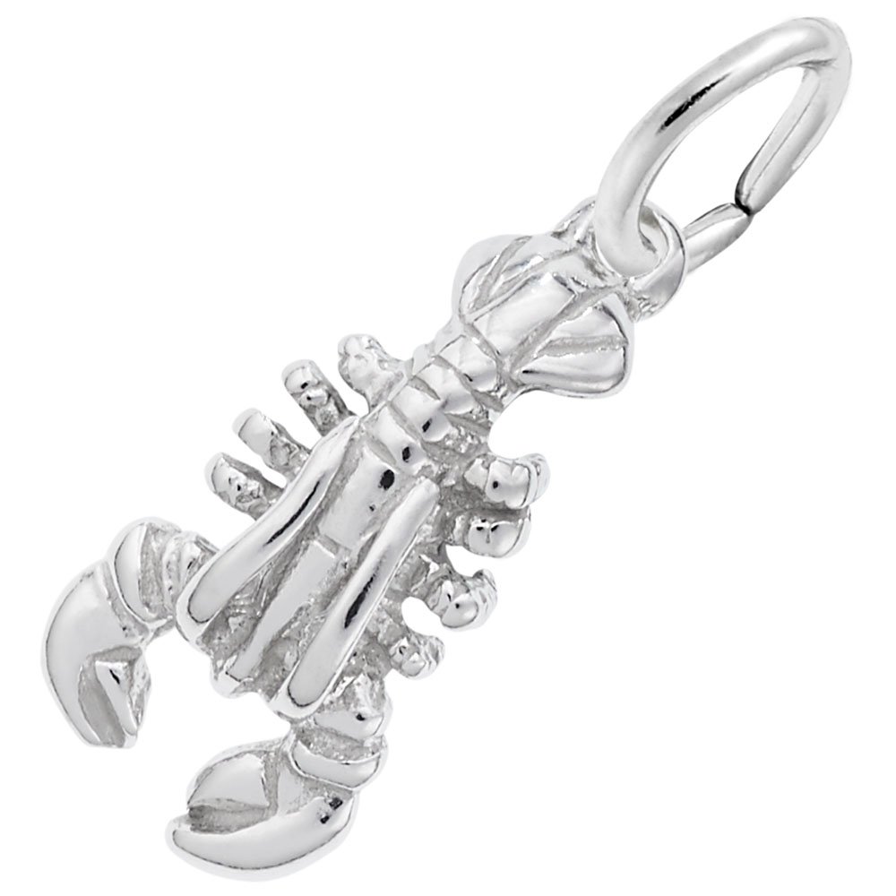Lobster Charm for Jewelry Making - Sterling Silver Clasp for Bracelets & Necklaces - Perfect for DIY Crafts, Gifts, and Fashion Accessories