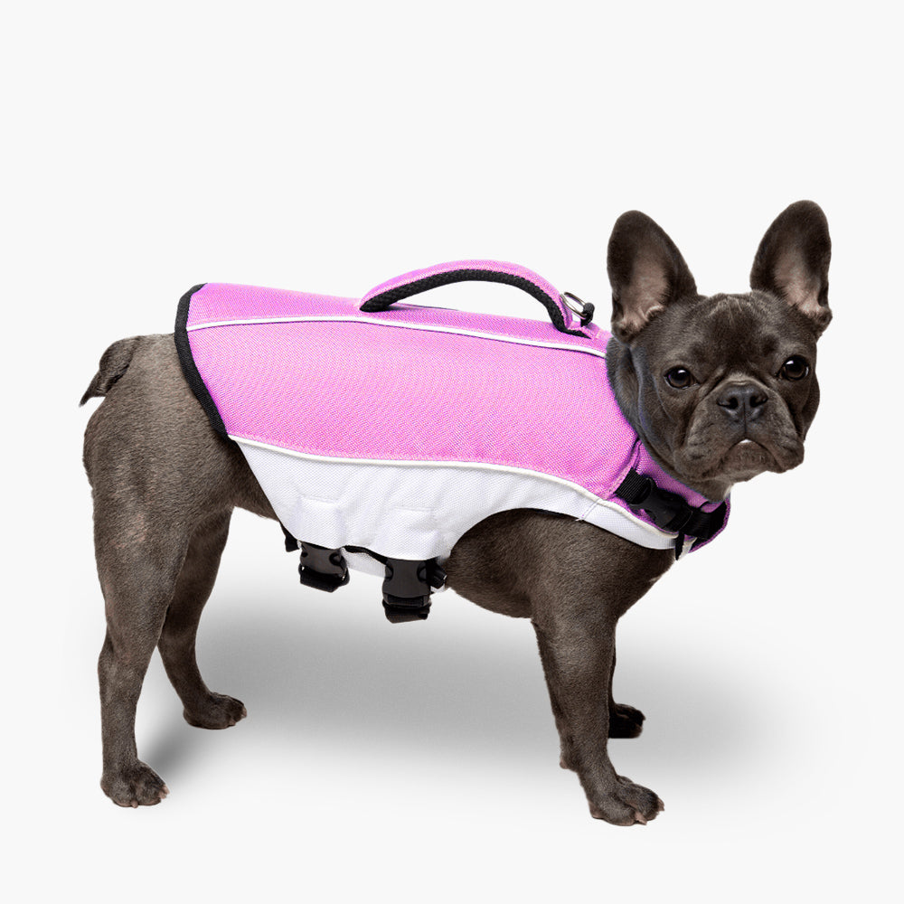 Dog Life Jacket for Swimming & Boating - Pink Safety Vest for Small Medium Large Dogs - Waterproof Buoyancy Aid for Pools, Lakes & Beach