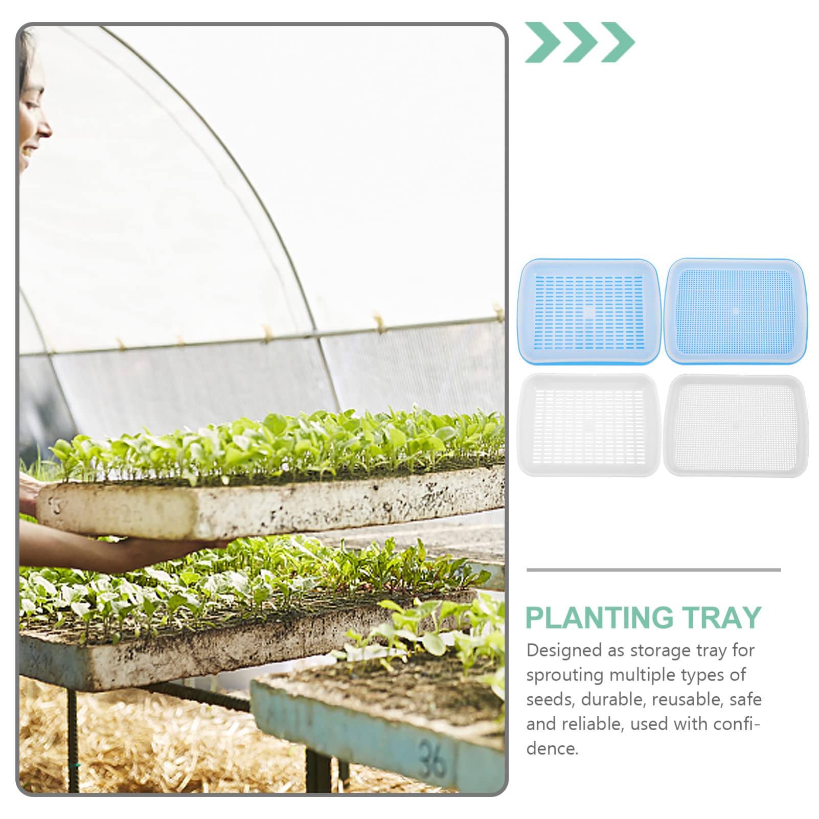 Organic Wheatgrass Sprouting Kit - 1 Set Mini Hydroponic Propagator Tray with Plastic Clamshell for Seed Germination | Indoor Gardening, Microgreens Growing, Healthy Salad & Juice Making