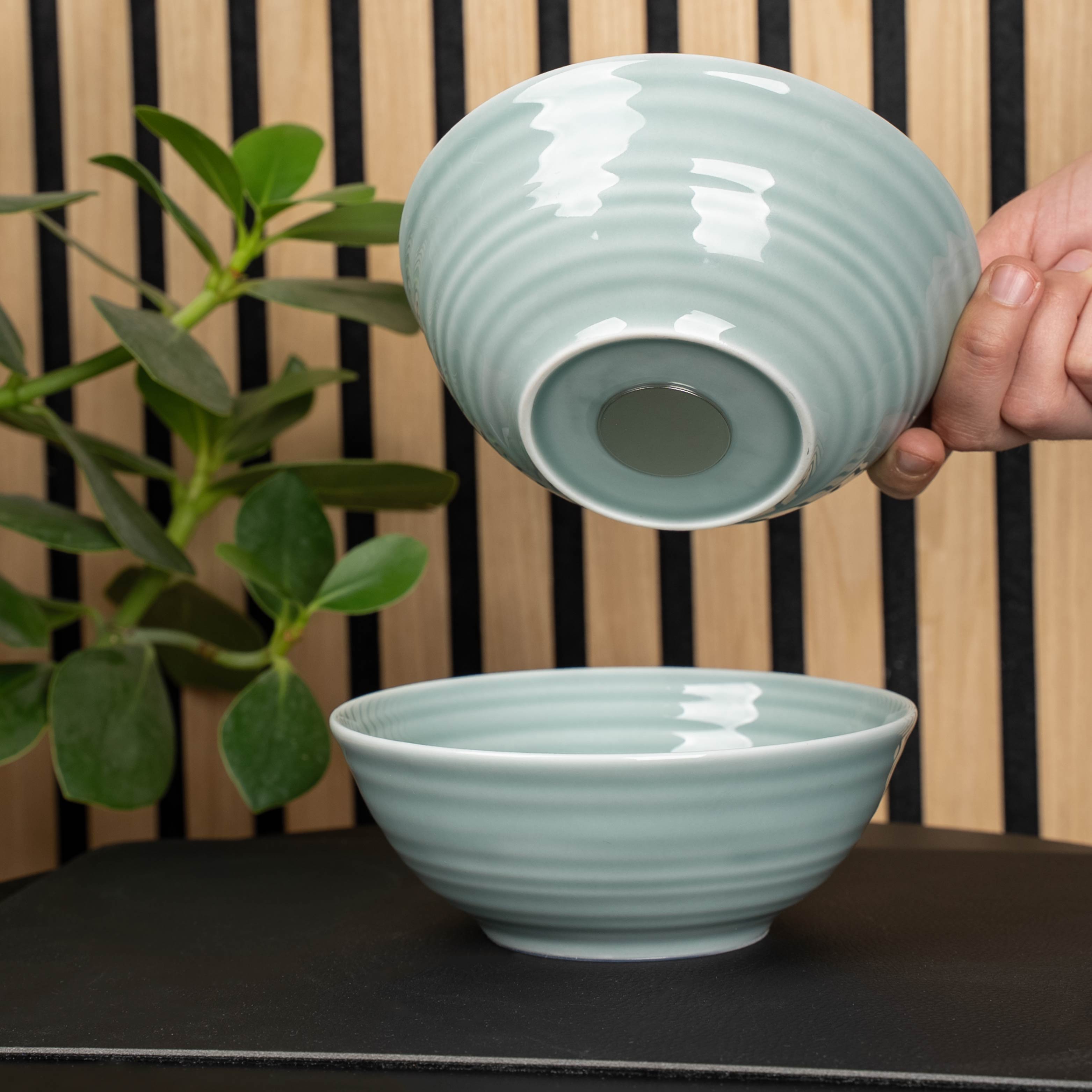 Premium Porcelain Bowls with Magnet Base - 16cm (6.3