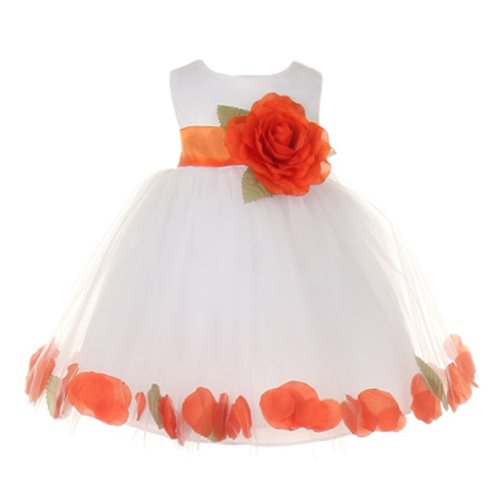 White With Orange Sash, Flower & Petals