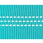 C.Mint Blue