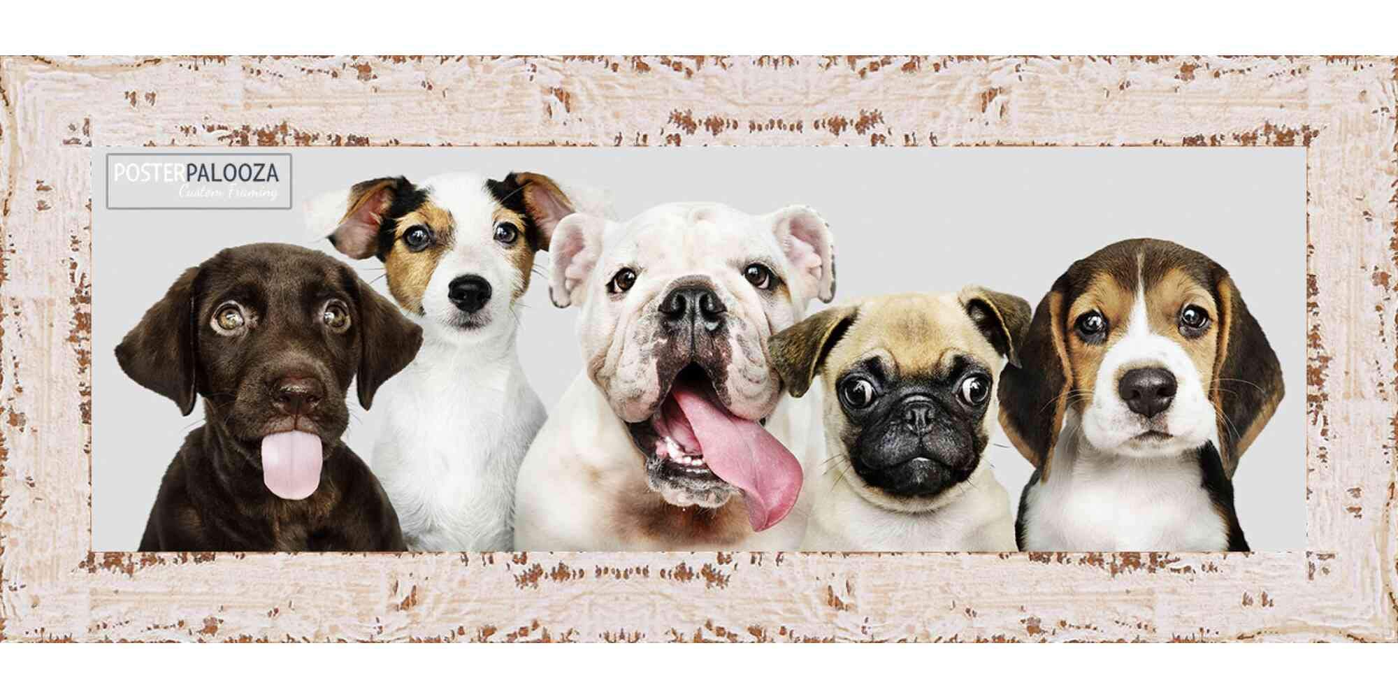 Shabby Chic Farmhouse White Wood Panoramic Picture Frame 13x39 Inch - UV Acrylic Glass, Foam Board Backing with Hanging Hardware - Perfect for Wall Decor, Living Room, Bedroom & Office Display