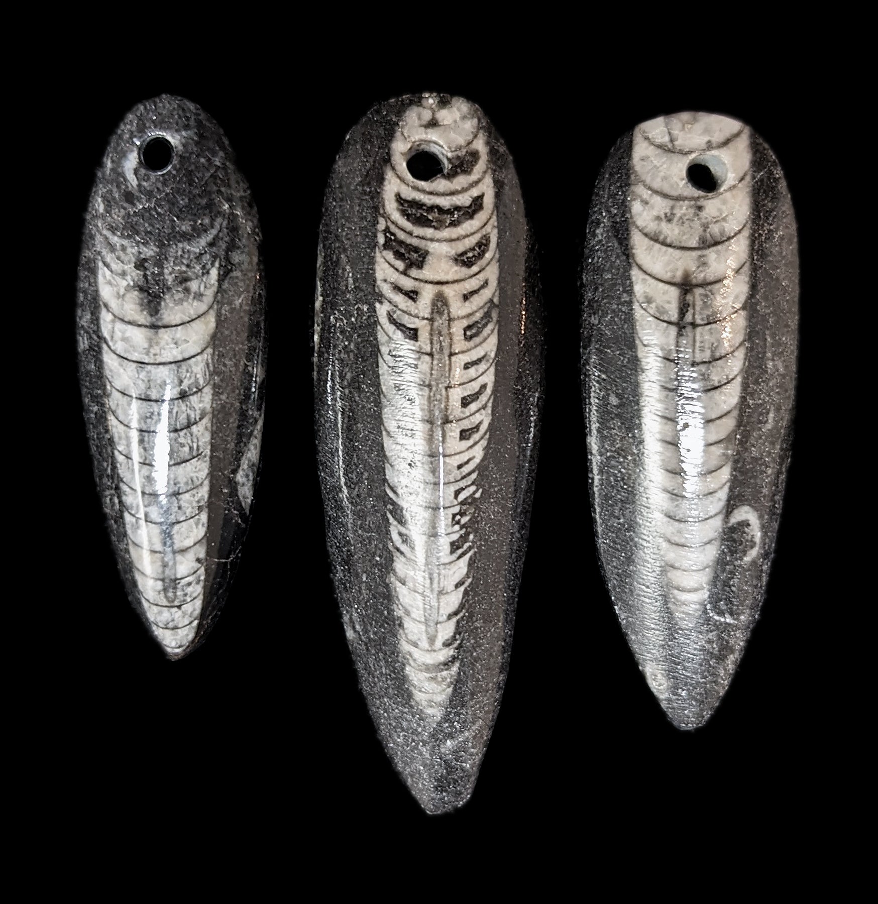 Orthoceras Fossil Pendant Necklace - Ancient Natural Stone Jewelry for Women & Men - Perfect for Gifts, Meditation & Spiritual Healing