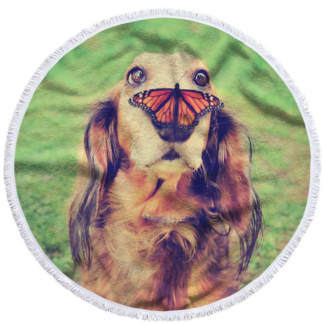 Cute Dachshund Dog Beach Towel with Butterfly on Nose - 63 Inch Large Round Bath Towel for Travel, Picnic, Park & Beach - Soft Hand Towel for Puppy Lovers - Perfect for Summer Outings, Pool Parties and Pet-Friendly Adventures
