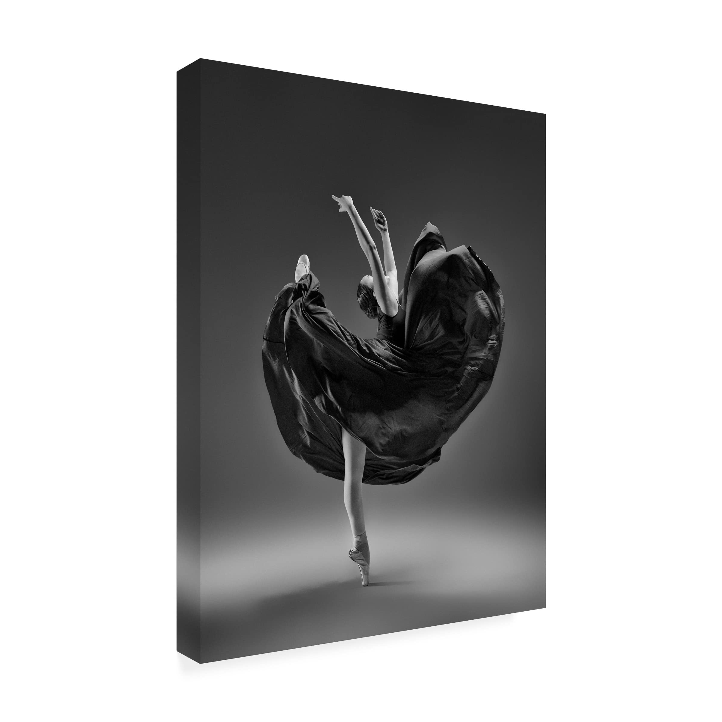 Trademark Fine Art 'The Dress' Canvas Wall Art by Rob Li - Elegant Home Decor for Living Room, Bedroom & Office