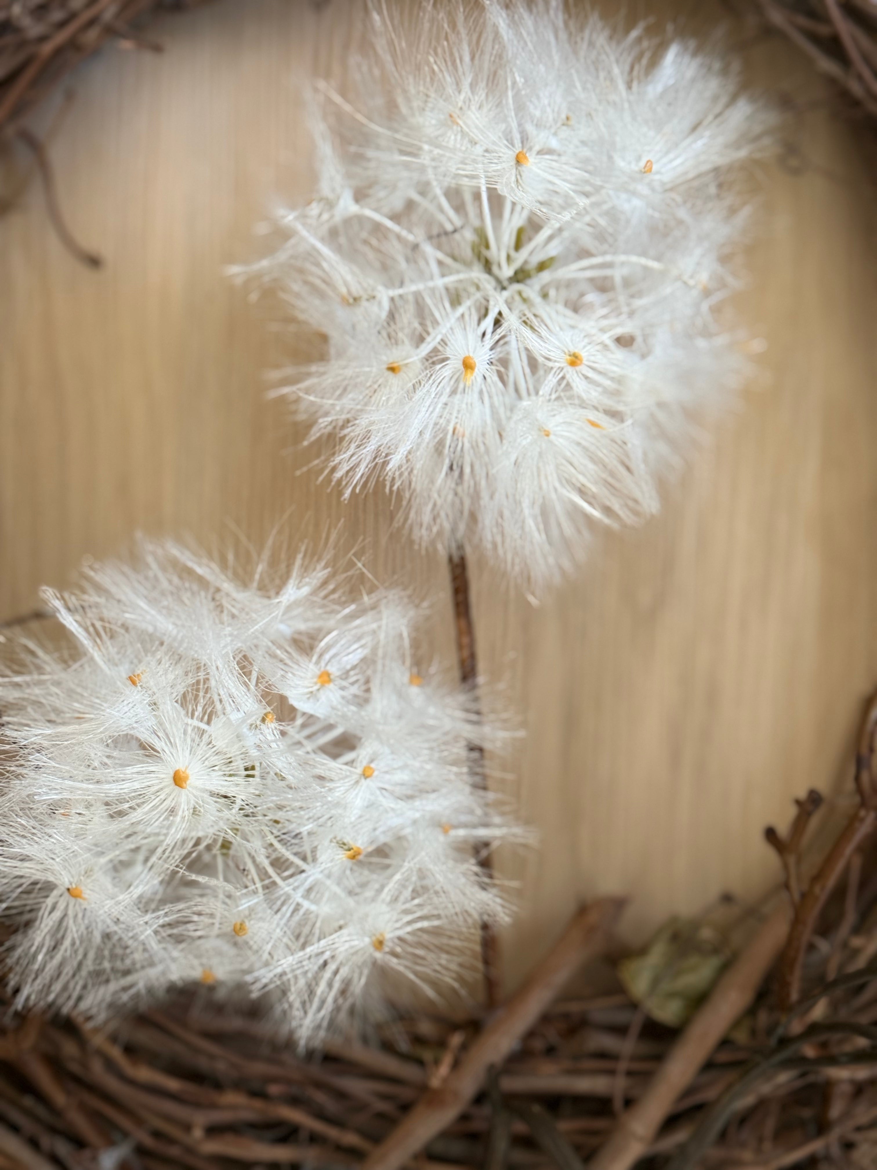 Windy Wreath - Elegant Floral Wreath for Home Decor, Front Door, and Seasonal Celebrations