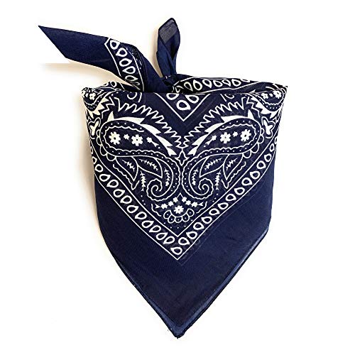 Navy Paisley