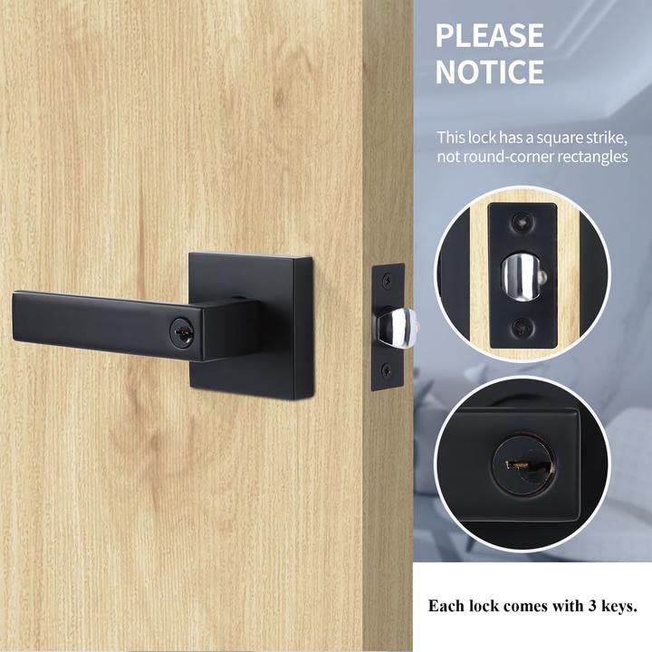 10 Pack Heavy Duty Keyed Entry Door Levers with Keys - Flat Style Door Handle Set in Matte Black (Not Keyed Alike) - Secure Exterior Lockset for Storeroom, Bedroom, Office & Commercial Use