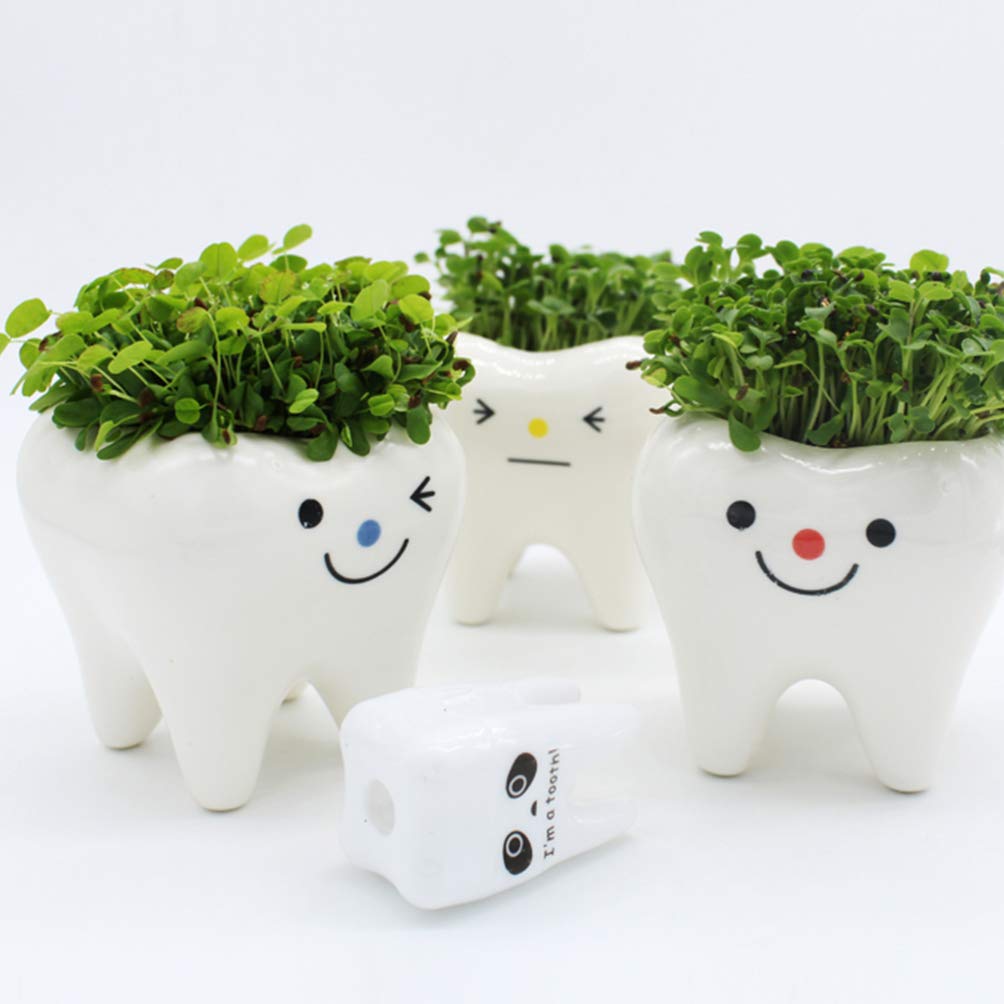 LIOOBO 2-Pack Creative Ceramic Plant Pots with Holder - Decorative Flower Pots for Succulents, Herbs, or Small Plants - Perfect for Home, Office, and Garden Decor