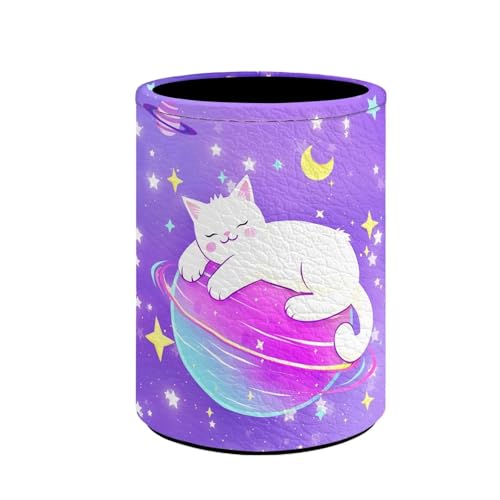 Galaxy Cat