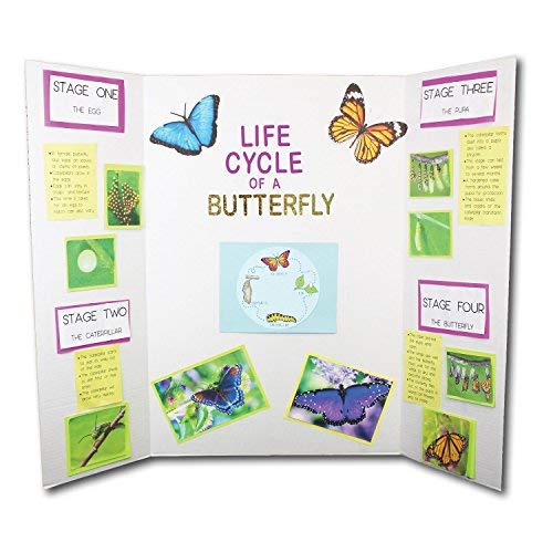 Flipside Products 36” x 48” Tri-Fold Presentation Boards - Premium White Corrugated Display Boards for Science Fair Projects, School Presentations, Business Events & Trade Shows (24-Pack, Made in USA) - Perfect for Classroom Projects, Exhibitions & Professional Displays