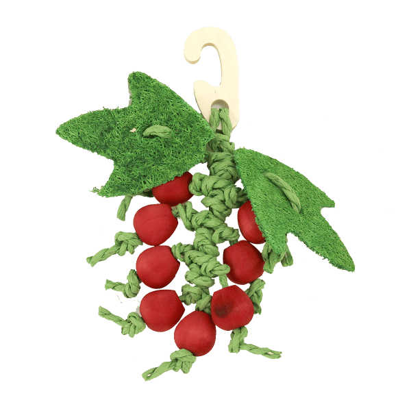 **Moss Hollow Berry Nibbler - Stainless Steel Fruit Picker for Berries, Cherries & Small Fruits - Perfect for Harvesting, Gardening & Farm Use**
