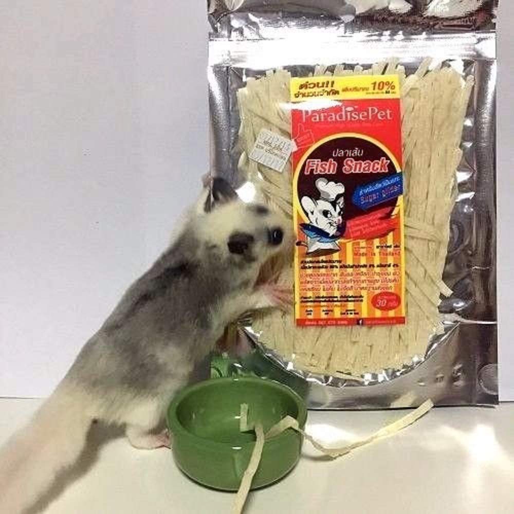 Fish Flavor Sugar Glider Hamster Treats - 3pc Small Animal Snacks for Chinchillas & Squirrels - Perfect for Training Rewards