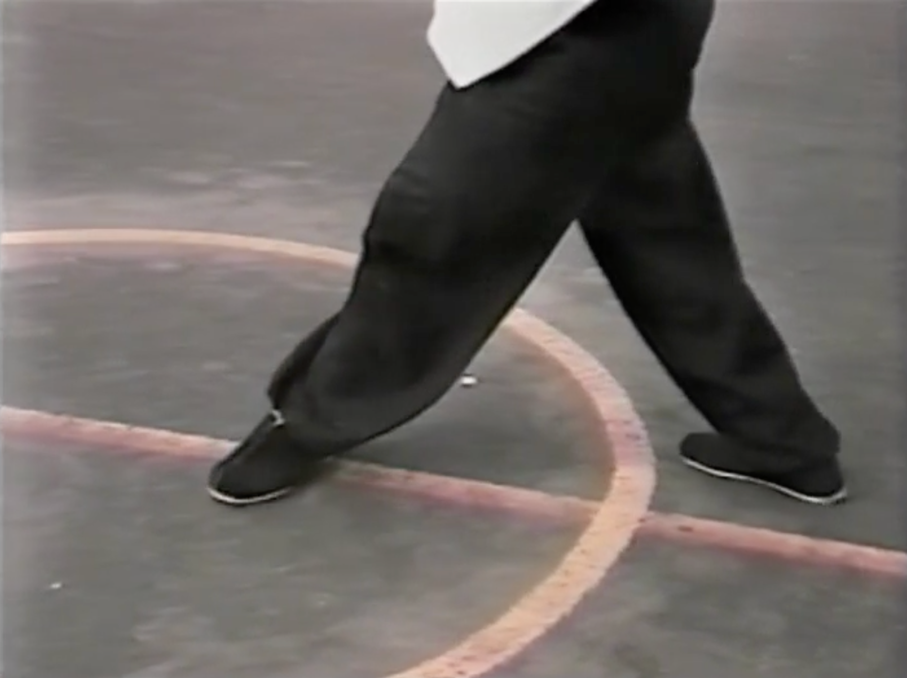 Bagua: The Art of Change DVD 1 by Ted Mancuso (Used) - Learn Ancient Chinese Martial Arts for Self-Defense & Meditation at Home