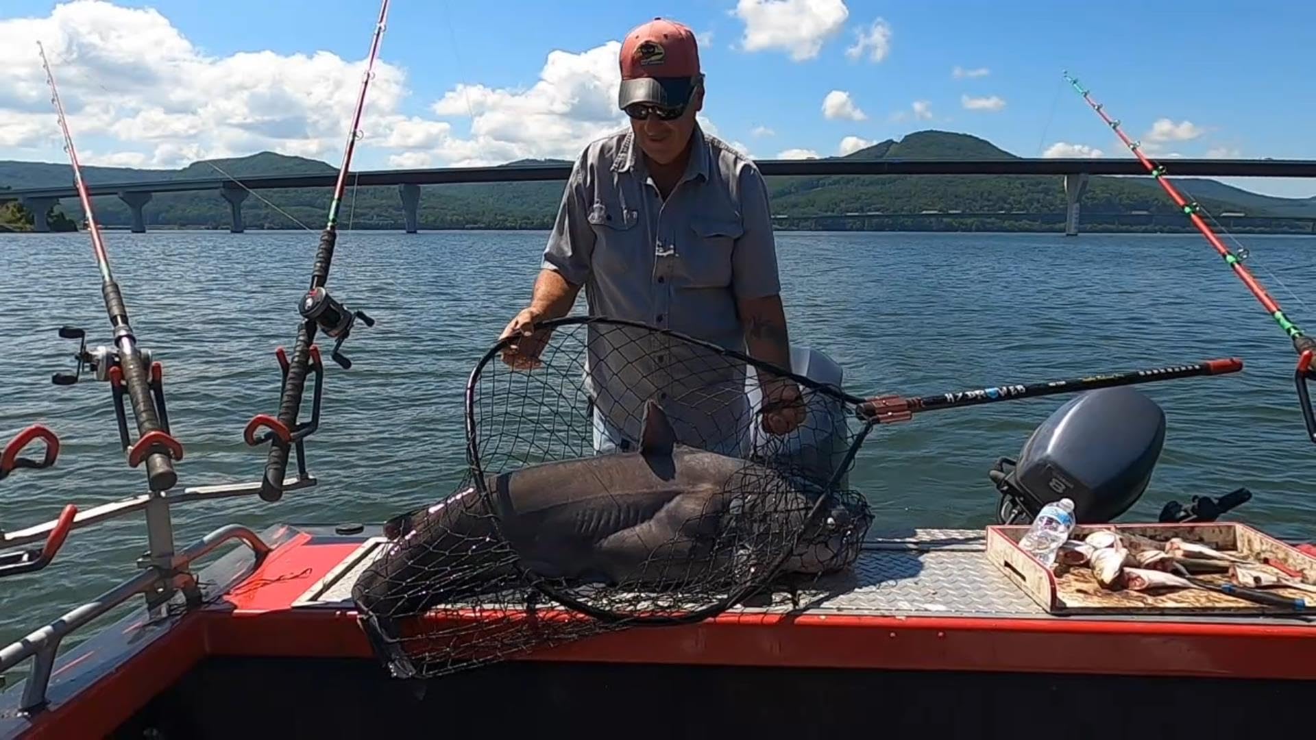 HydroWeb Heavy-Duty Catfishing Landing Nets - Knotless Rubber-Coated Nylon Mesh, Floating Fiberglass Handle, Durable Aluminum Hoop - Lightweight & Reliable for Big Fish in Strong Currents - Perfect for Bass, Trout & Catfish Fishing in Rivers & Lakes