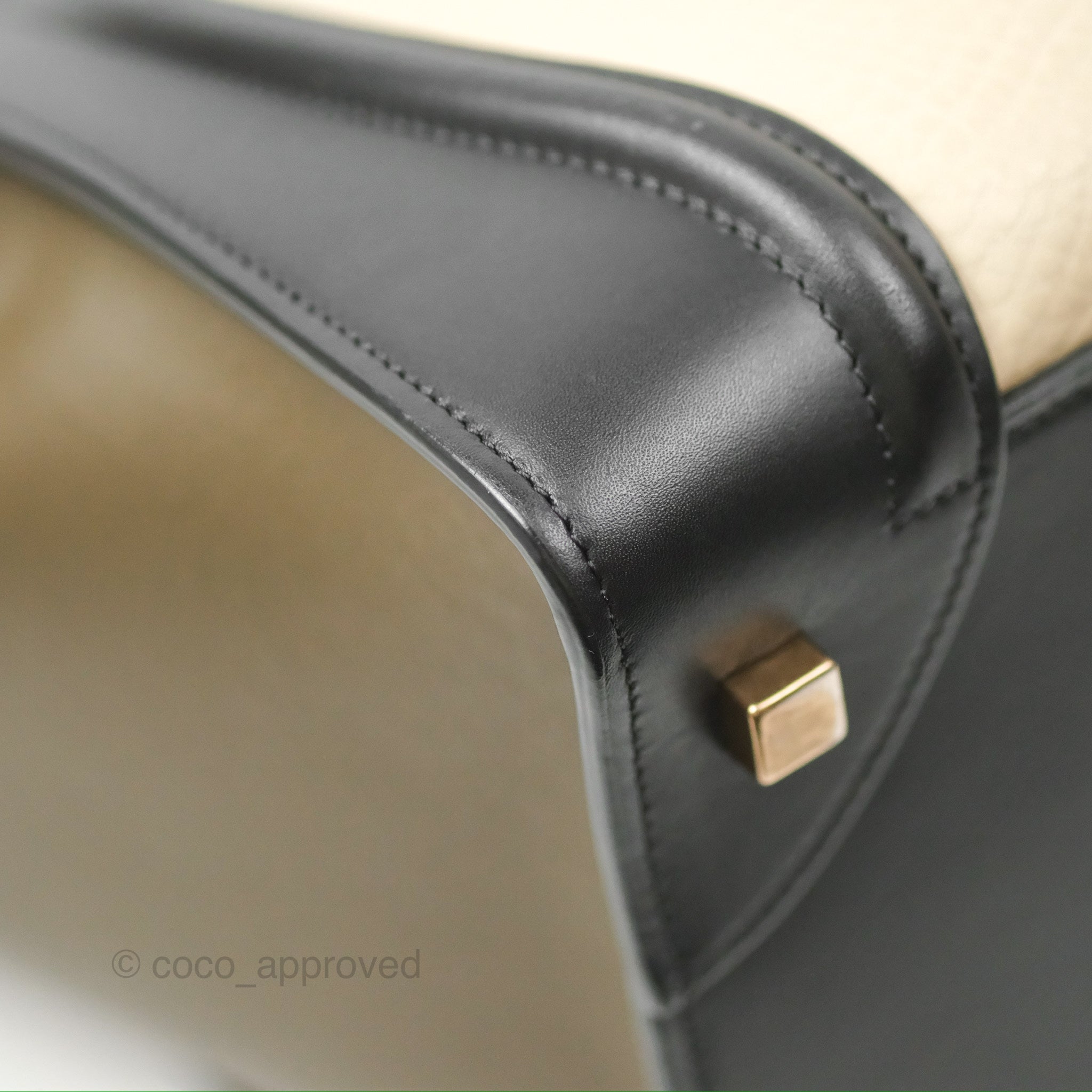 Celine Mini Luggage Bag in Black, Brown & Ivory Calfskin Leather - Perfect for Travel, Work & Everyday Luxury Handbag