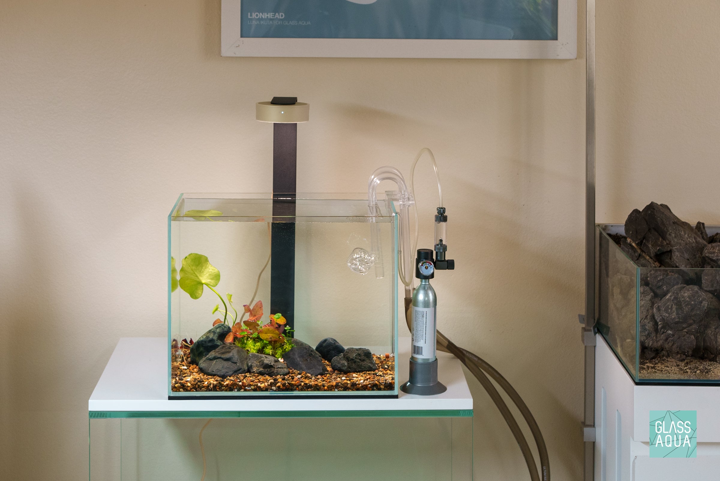 Micro CO2 Bundle Kit for Aquarium Plants - Enhance Plant Growth with Carbon Dioxide Injection System | Perfect for Freshwater Tanks & Aquatic Gardens