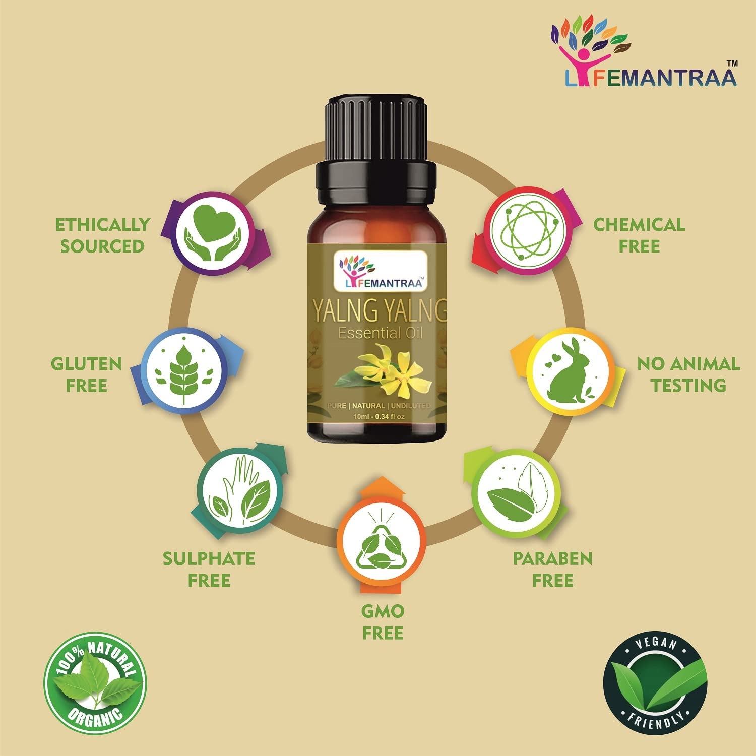 Pure Rosemary & Ylang Ylang Essential Oil Set - 15ml Each (30ml Total) for Aromatherapy, Home Diffusers, Soap & Candle Making - Natural Air Freshener for Relaxation, Stress Relief & Better Sleep
