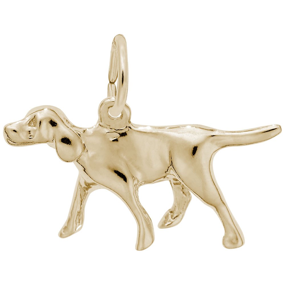 Retriever Dog Charm Pendant - Sterling Silver & Gold Plated Pet Jewelry for Bracelets & Necklaces - Perfect Gift for Dog Lovers & Pet Owners (Ideal for Birthdays, Anniversaries & Pet Memorials)