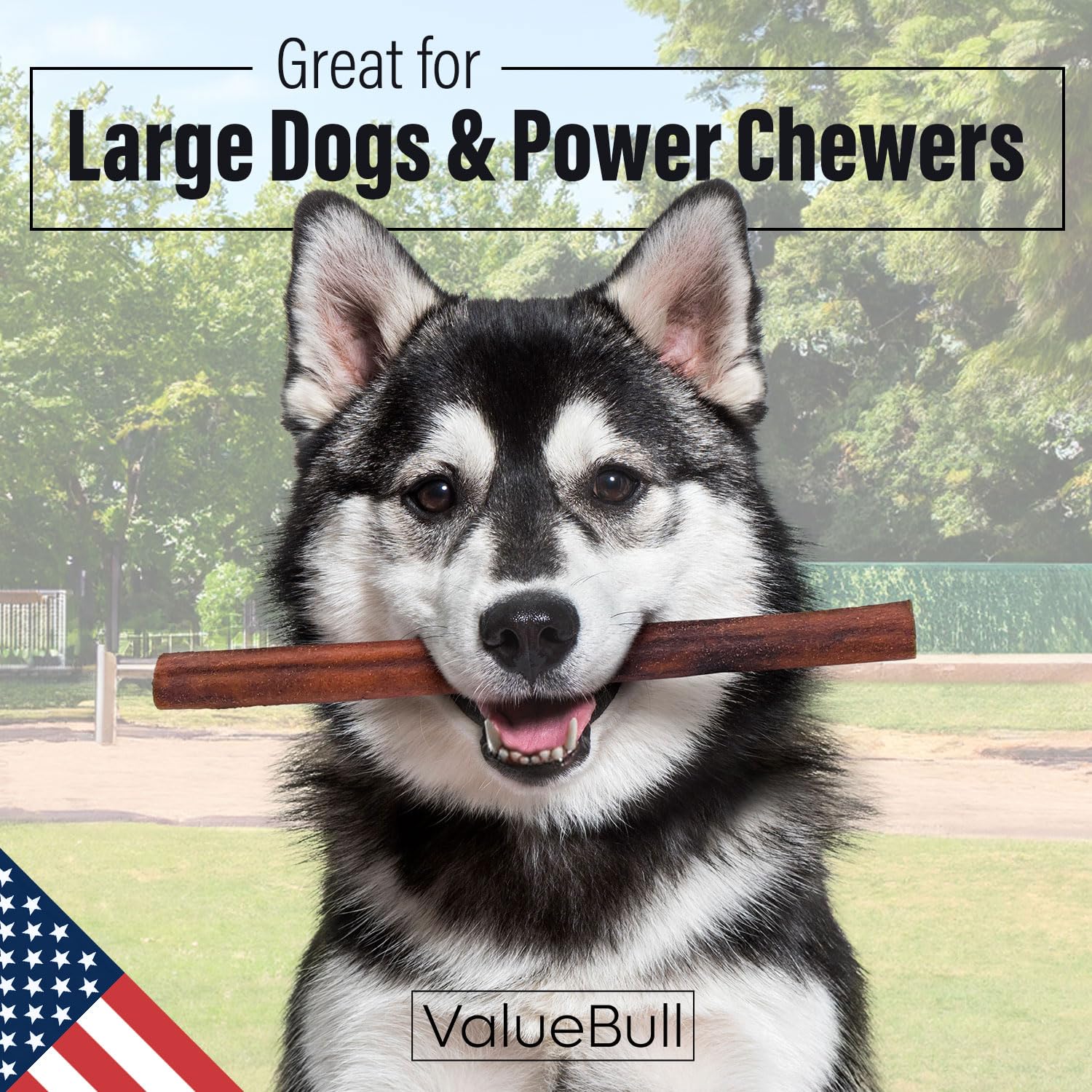 Premium USA Collagen Sticks for Dogs - Natural & Safe Single Ingredient Chews, 12 Inch Jumbo Size (50 Count Bulk Pack) | Healthy Alternative to Bully Sticks & Rawhide | Supports Hip & Joint Health, Skin & Coat Care | Perfect for Aggressive Chewers, Training Rewards & Dental Hygiene