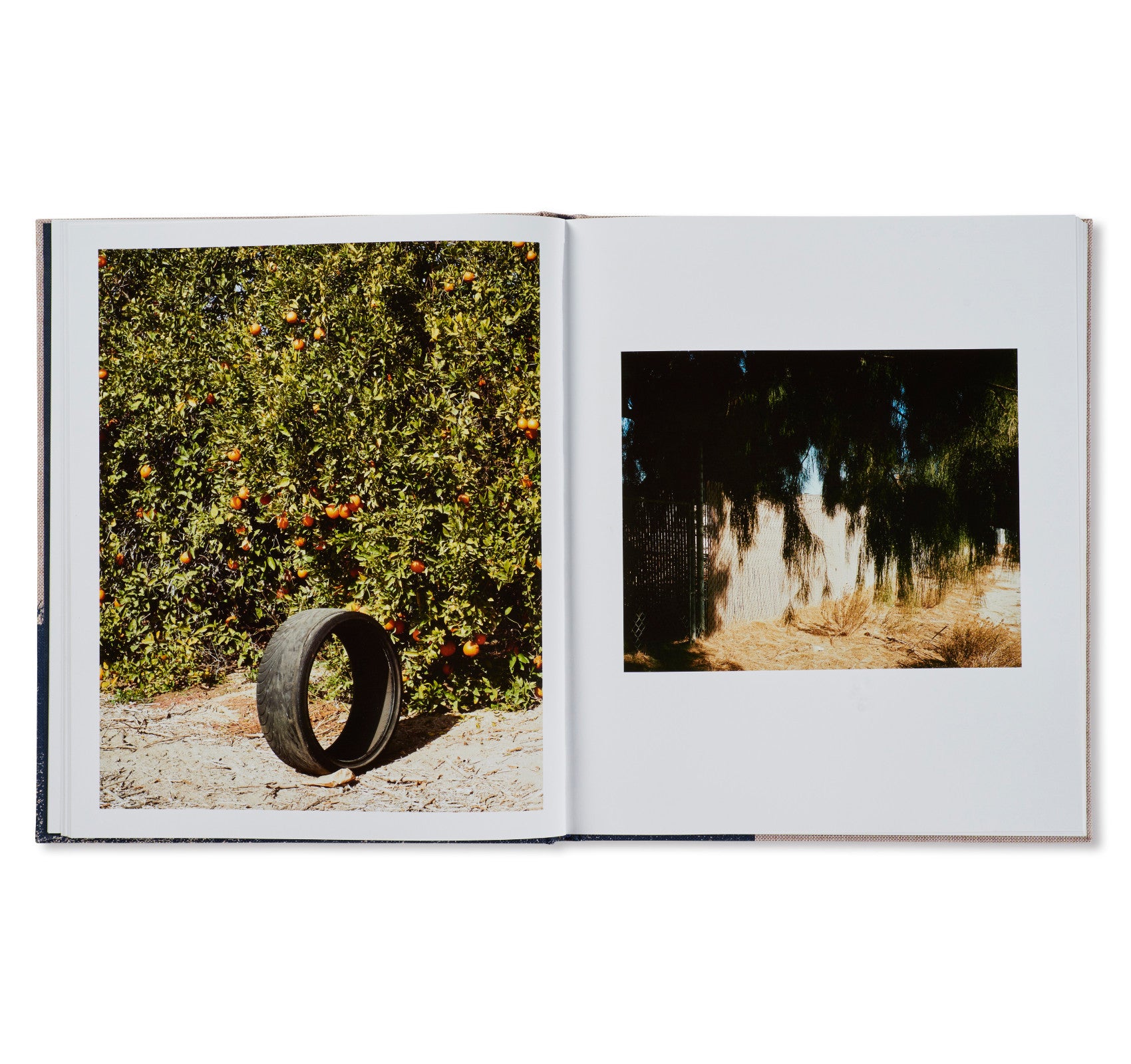LAGO by Ron Jude - Premium Photography Book for Art Collectors & Enthusiasts | Perfect for Home Decor, Coffee Table Display & Gift Giving