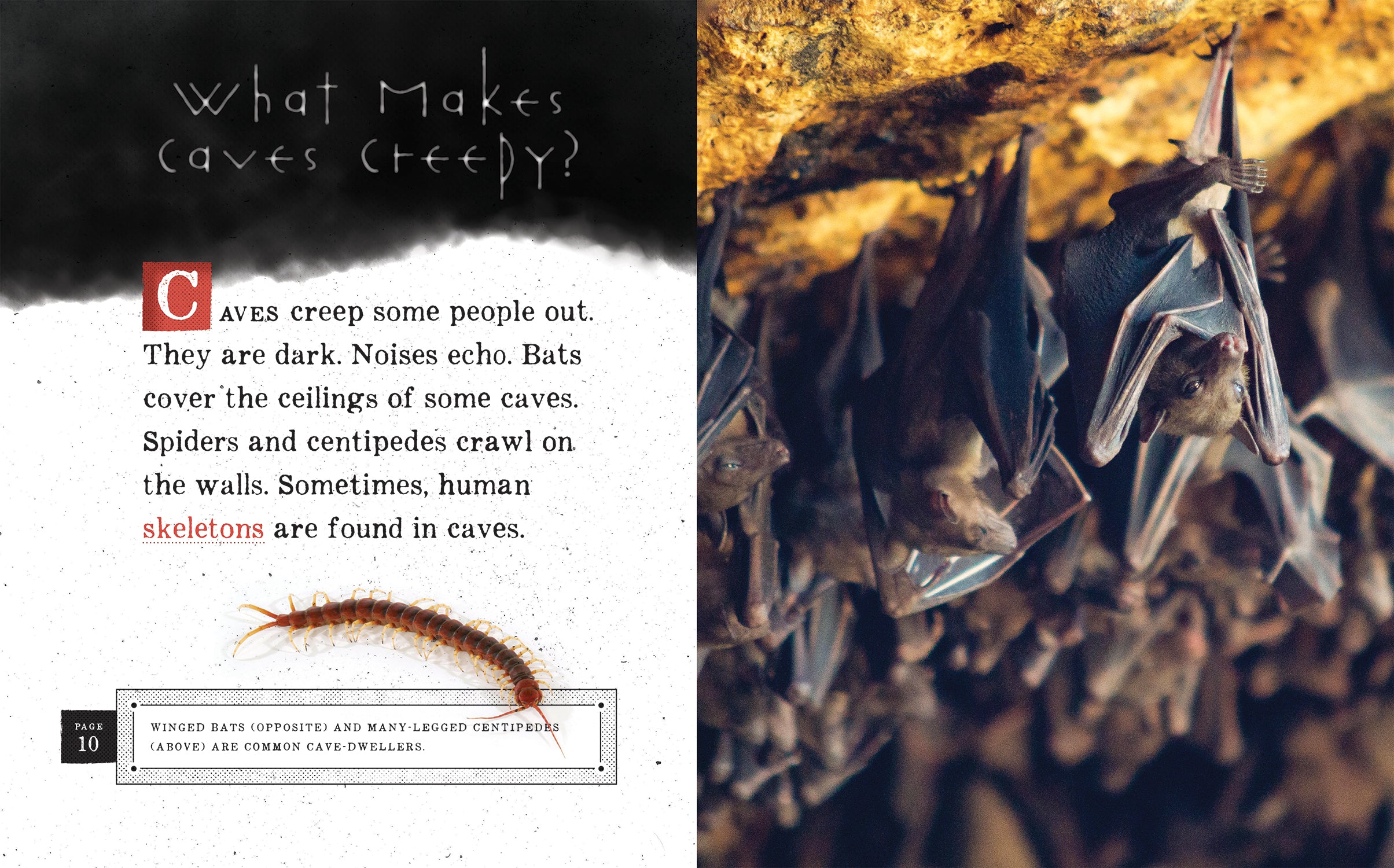 Caves: Exploring the Hidden Wonders of Nature - Perfect for Hiking, Camping, and Outdoor Adventures