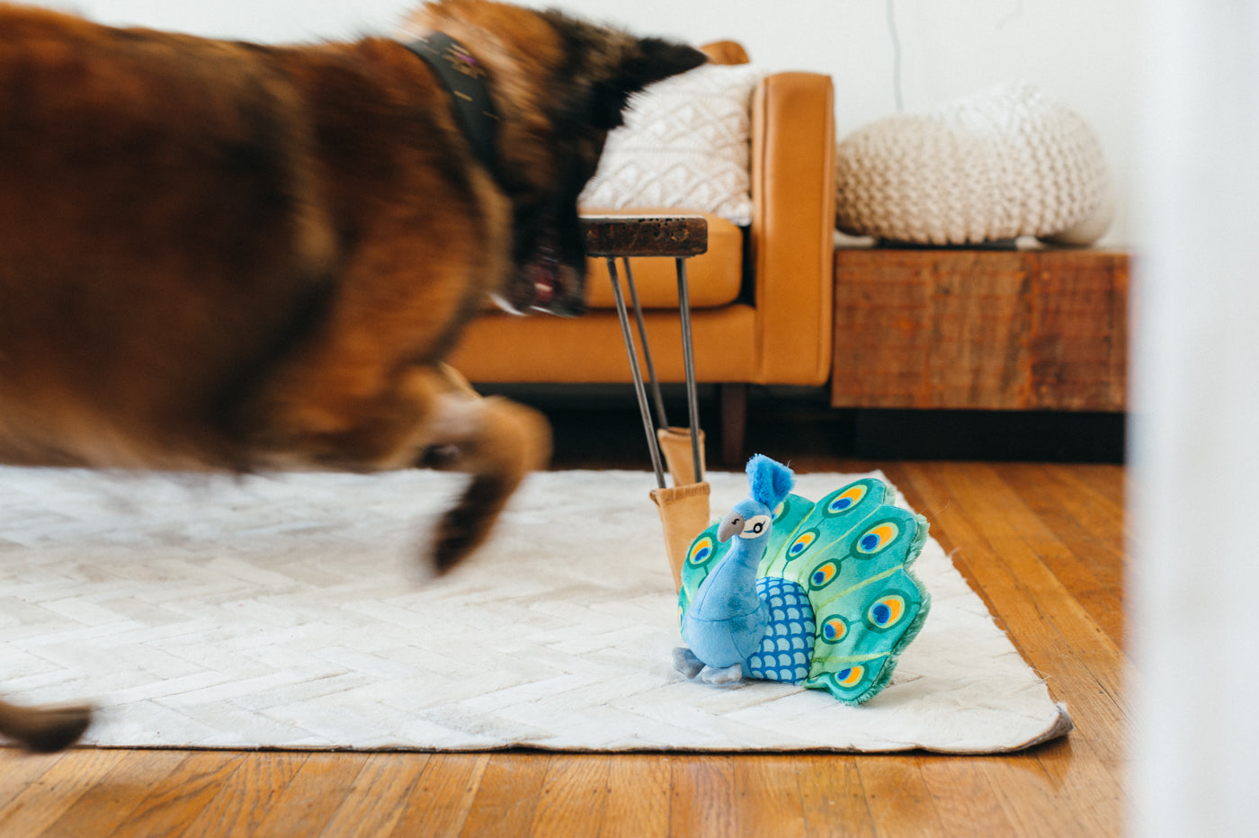 Percy the Peacock Plush Dog Toy - Fetching Flock™ Interactive Chew Toy for Dogs | Soft & Durable Pet P.L.A.Y. Toy for Fetch, Tug-of-War & Cuddling | Perfect for Playtime, Training & Comfort