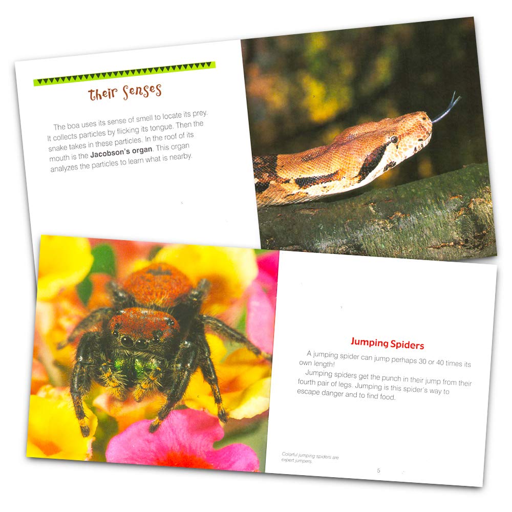 Educational Nature Books for Kids - 9 Wild Animal Books Set (Sharks, Dinosaurs, Snakes) for Toddler Learning