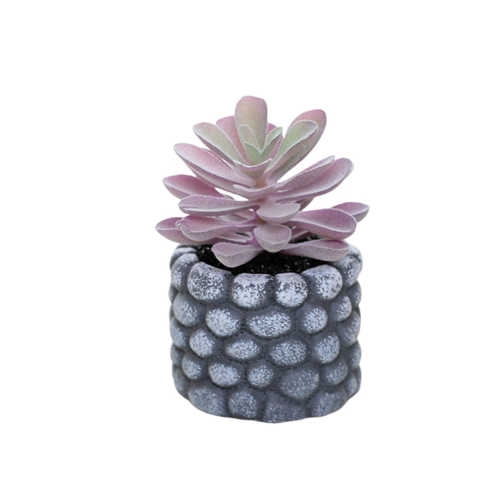 Realistic Fake Succulents Plants for Home Decor - Artificial Mini Potted Plants with Lifelike Shape, Creative Desktop Ornament for Living Room, Office & Wedding Centerpieces