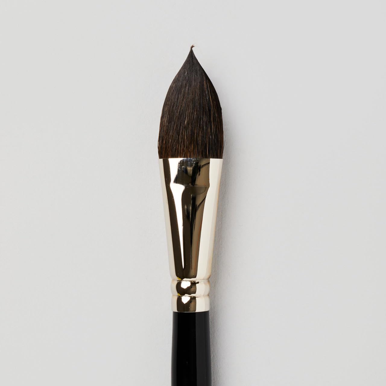 Premium Watercolor Brush for Artists - Series 50 Extra Large Size - Perfect for Canvas Painting, Watercolor Art & Professional Studio Use