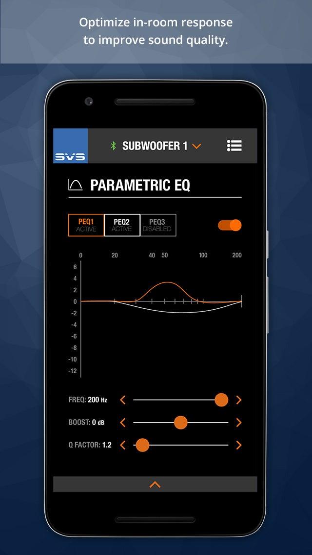 SVS PB3000 12