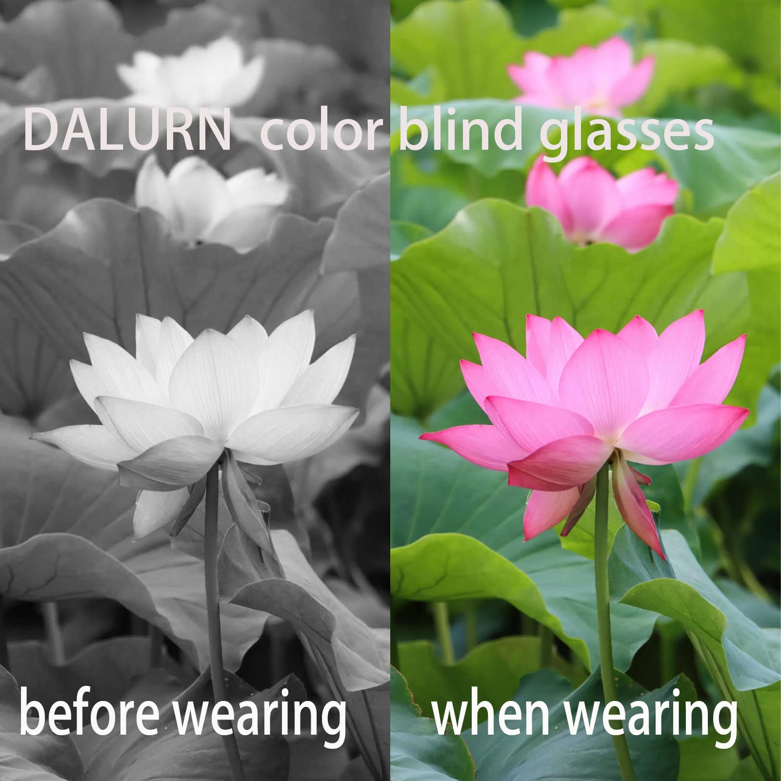 Color Blindness Corrective Glasses for Men - Enhance Color Vision for Outdoor Activities & Sports