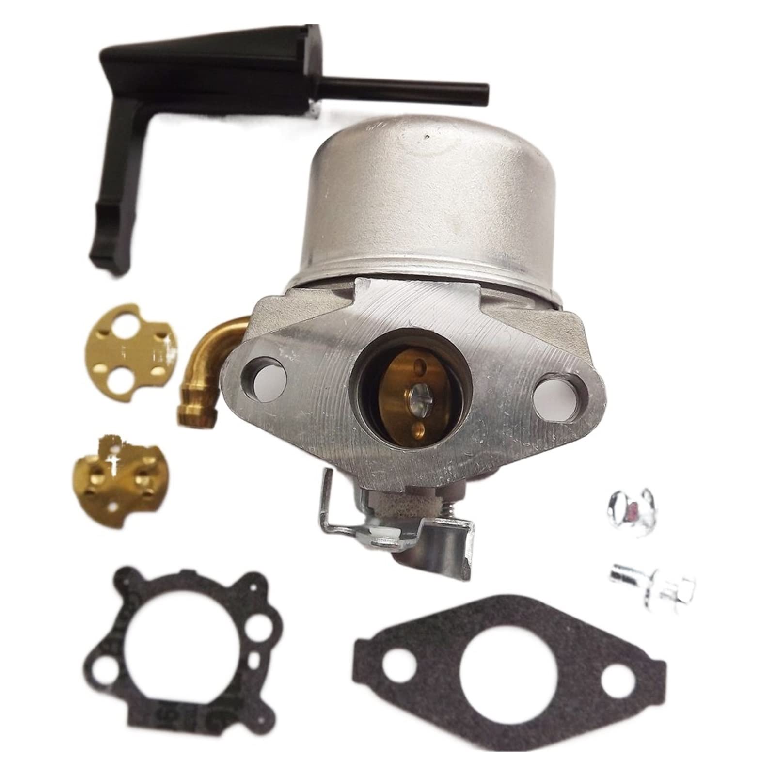Briggs & Stratton 798653 Carburetor Replacement - Compatible with 697354 790290 791077 698860 - High Performance Lawn Mower Engine Part for Gardening & Outdoor Power Equipment