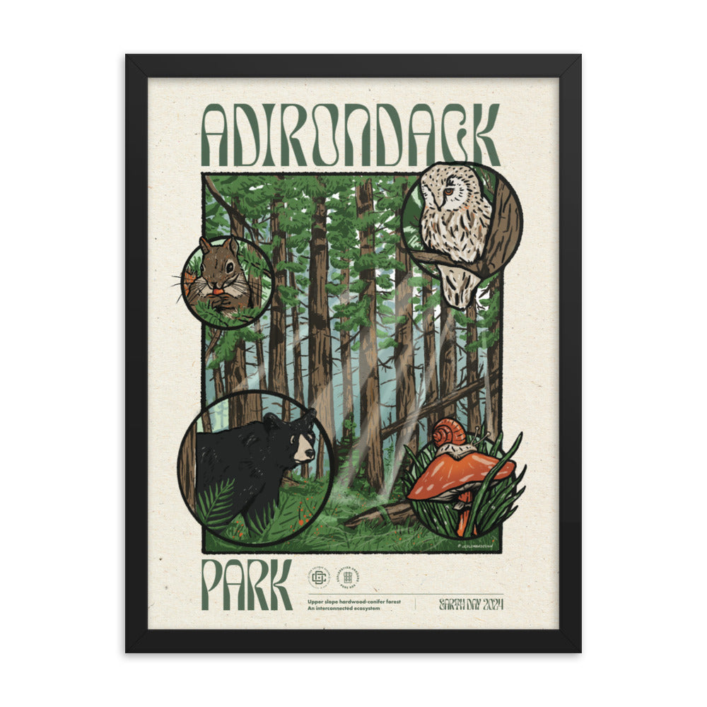 Adirondack Ecosystem Poster - 1st Edition | High-Quality Wall Art for Home, Office & Classroom Decor