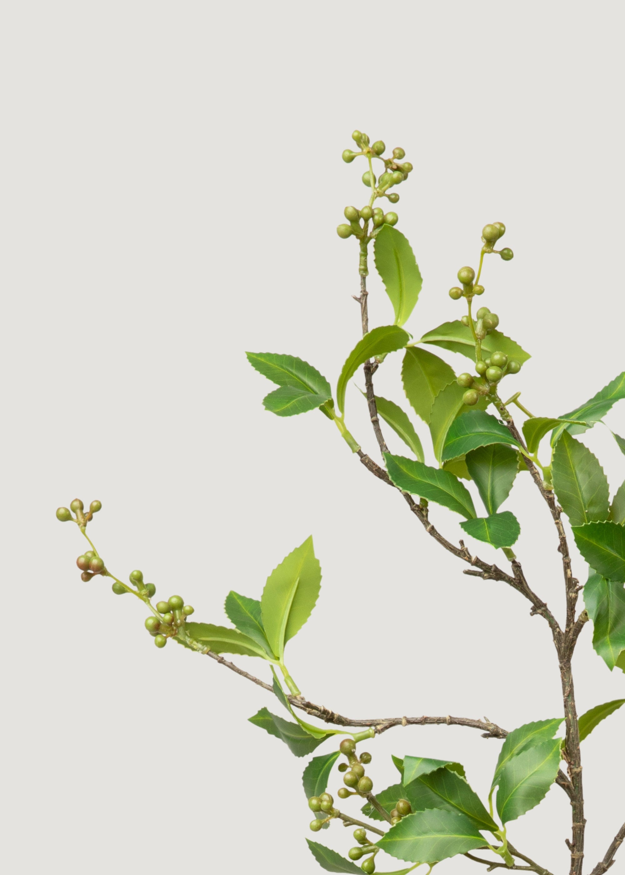 Premium Green Chokeberry Artificial Berries Branch - 39