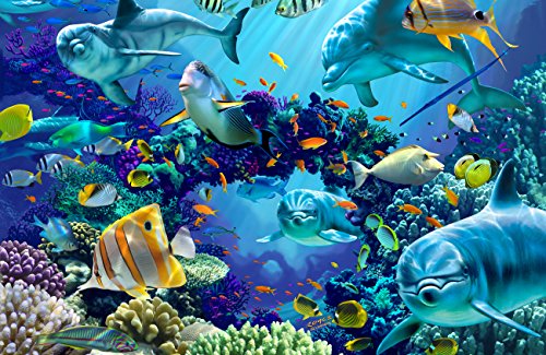 Ocean Friends
