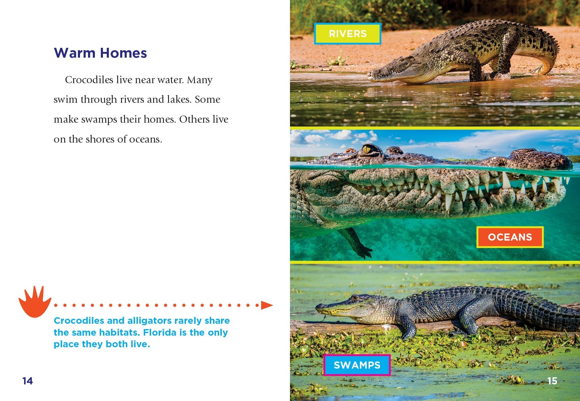 Crocodiles Book - 9781623106423 | Wildlife Education & Nature Guide for Kids & Adults | Perfect for School Projects & Animal Lovers