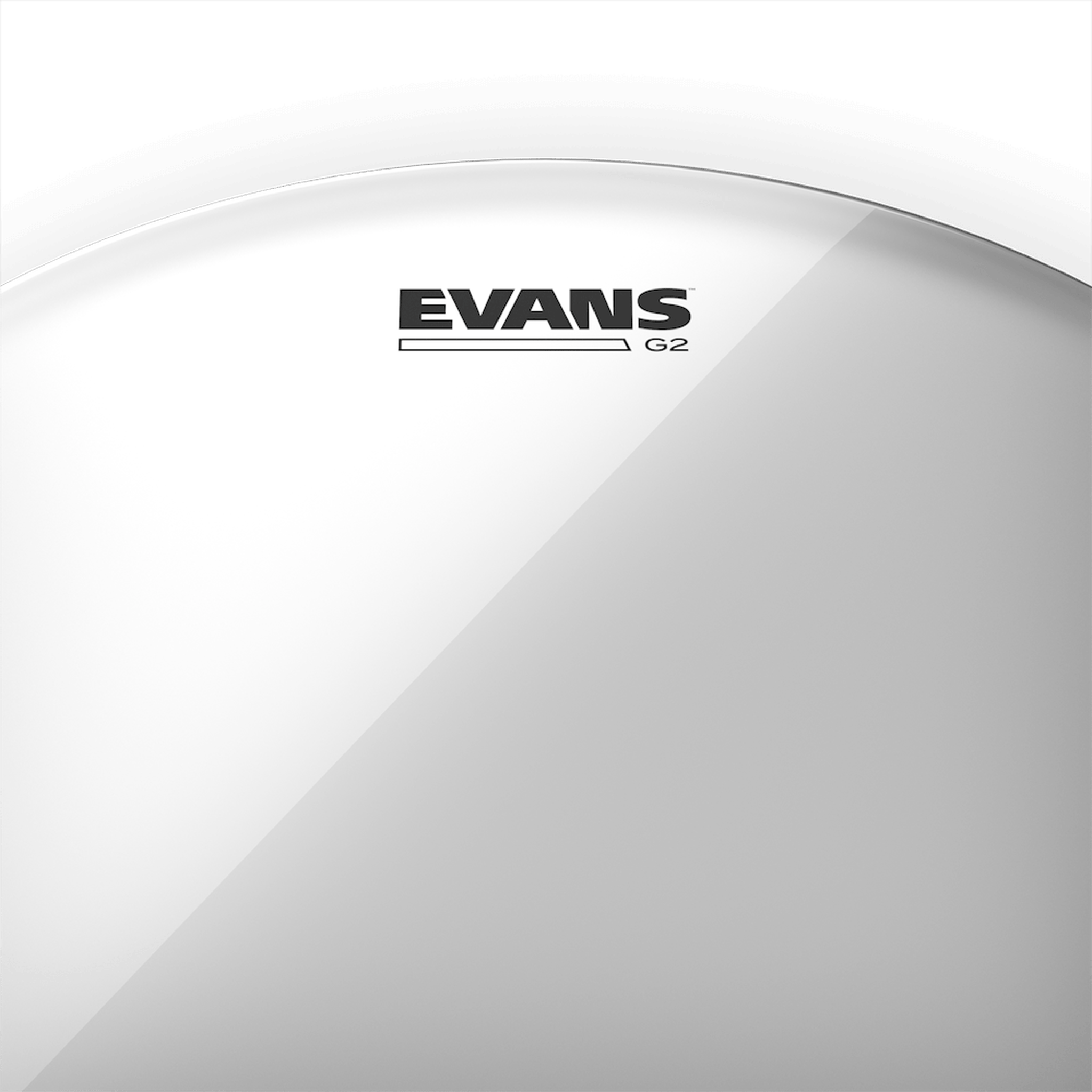 Evans G2 Clear Drum Head 16 Inch - Premium Drum Skin for Snare & Toms - Perfect for Live Performances & Studio Recording