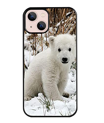 Polar Bear Animal