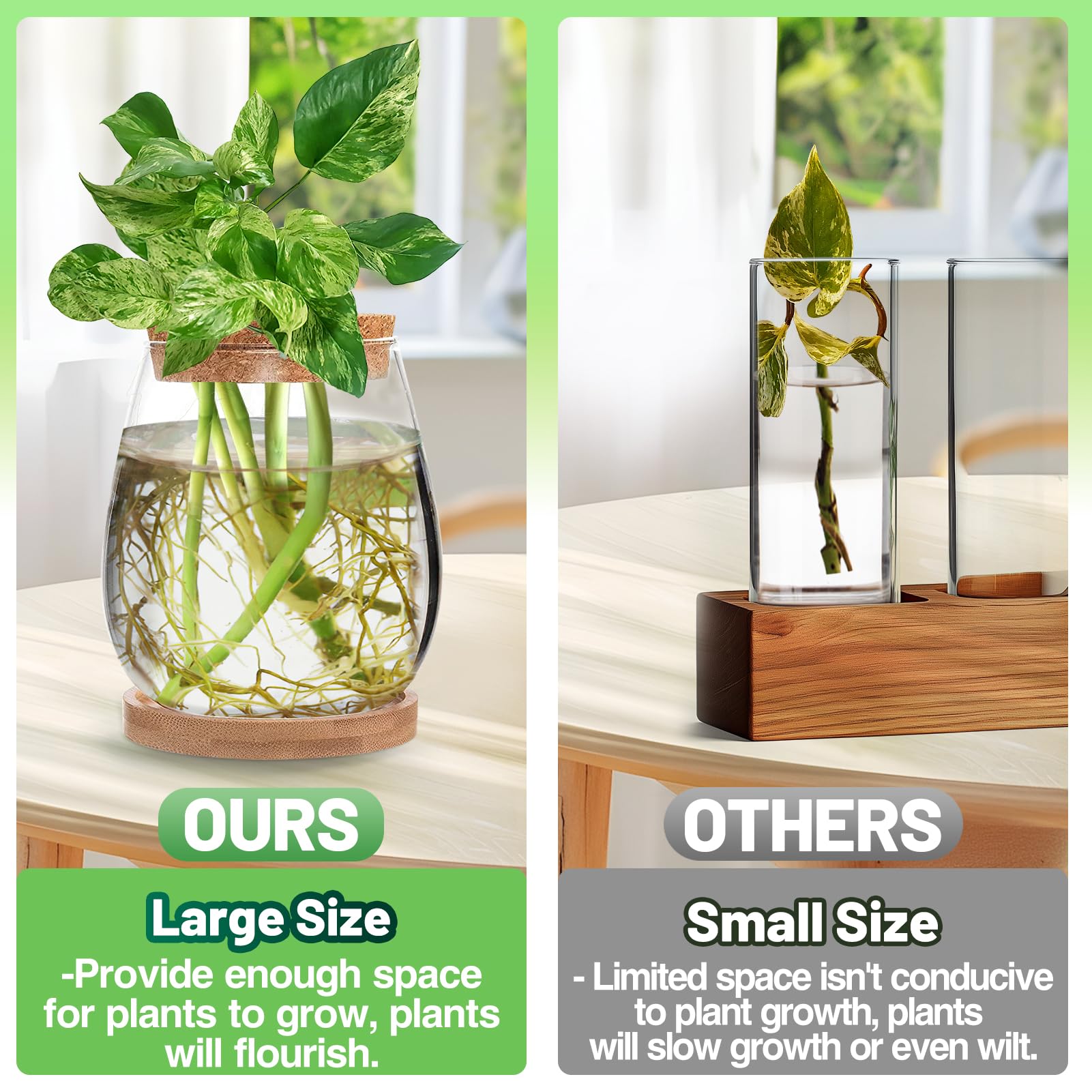2-Pack Glass Hydroponic Propagation Station - Water Drop Shaped Plant Terrarium with Separated Tray, Indoor Gardening Gifts for Women & Plant Lovers - Perfect for Windowsill Decor, Herb Growing, and Home Office Plant Propagation