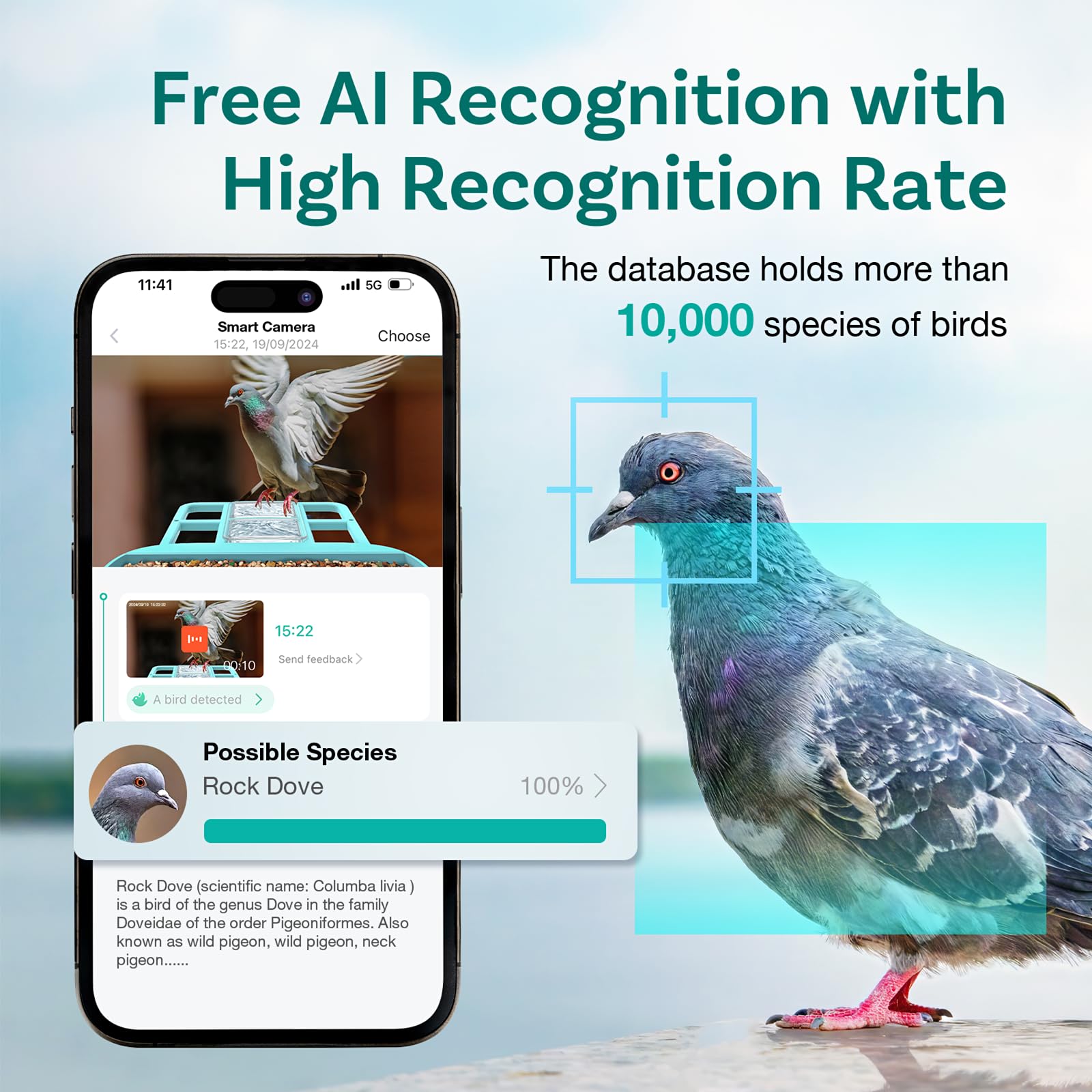 Smart Bird Feeder with Camera - AI Identifies 11,000+ Bird Species, Solar Powered, Motion Detection & Auto Capture Alerts - Perfect for Backyard Bird Watching & Wildlife Monitoring