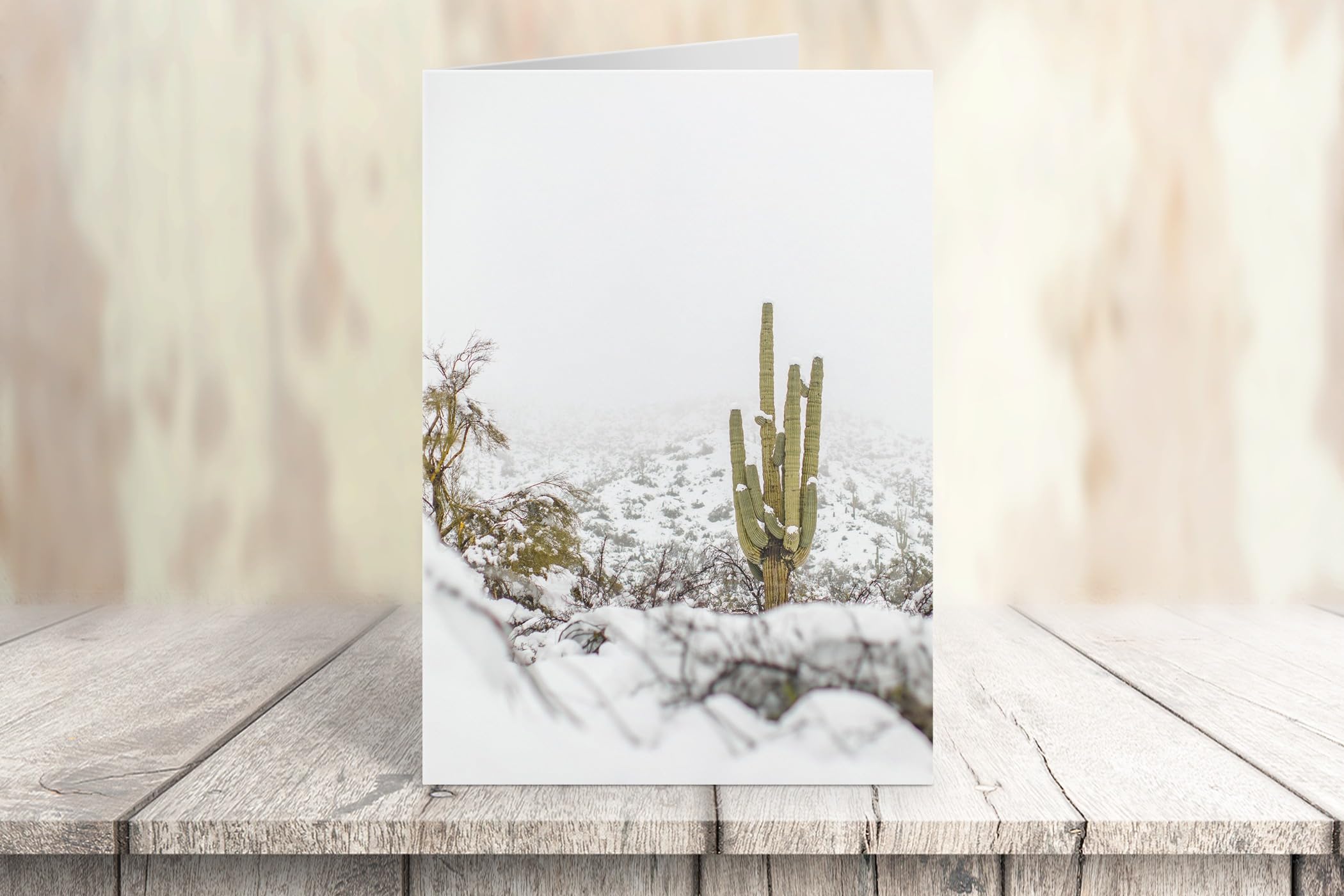 Stonehouse Collection | 12 Winter Saguaro Cactus Greeting Cards with Envelopes | Boxed Desert-Themed Holiday Cards | Perfect for Christmas, Birthdays & Special Occasions