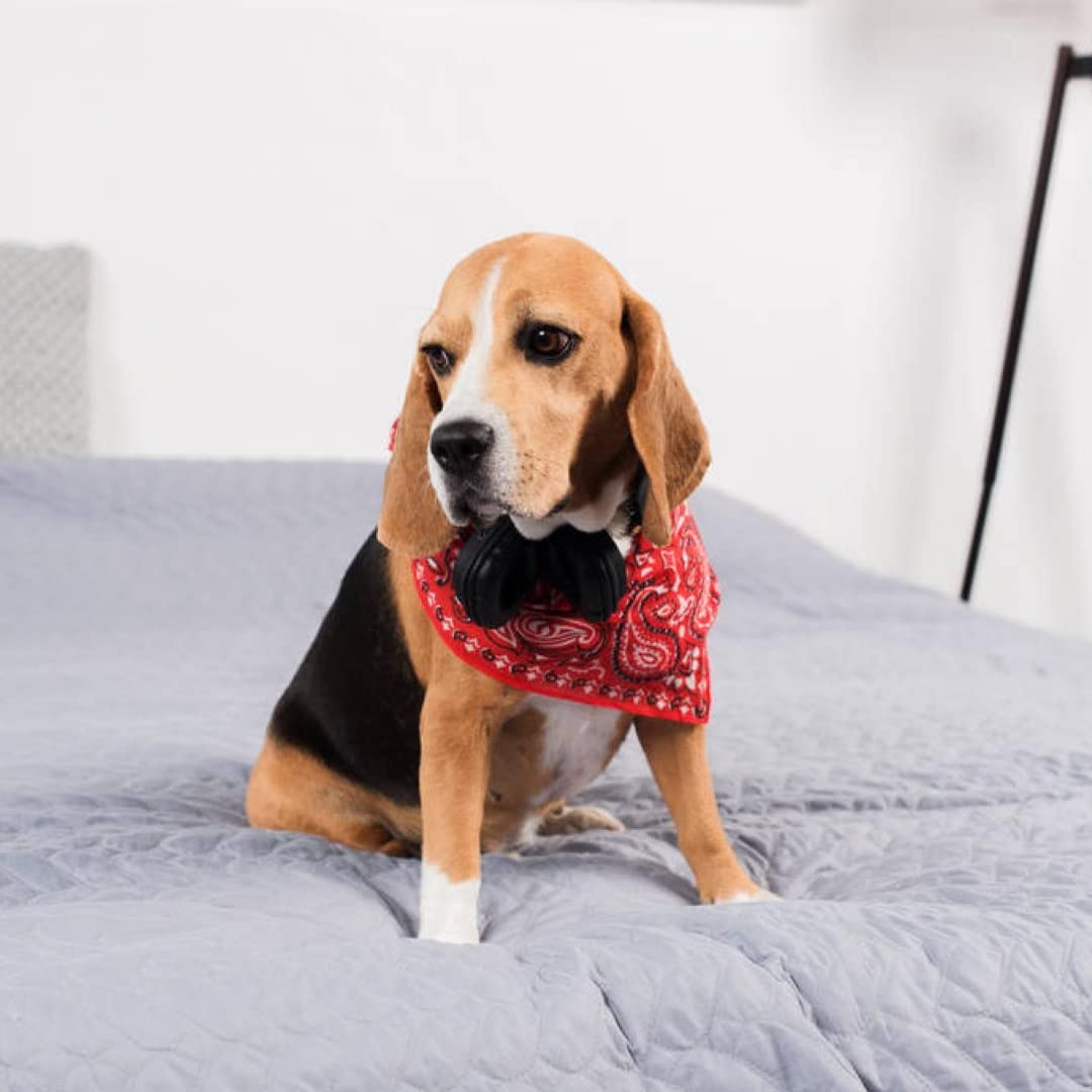 Stylish Solid Cotton Dog Bandana Triangle Bib for Small & Medium Pets - Hot Pink | Perfect for Pet Fashion, Grooming, and Special Occasions