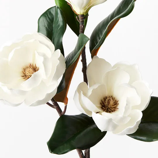 Magnolia Flower Spray - Fresh & Fragrant Floral Bouquet for Home Decor, Weddings & Events | Perfect for Centerpieces, Gifts & Aromatherapy