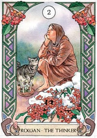 Celtic Astrology Oracle Cards - 44-Card Deck with Guidebook for Divination, Spiritual Guidance & Self-Discovery | Perfect for Tarot Readers, Wiccan Practitioners & Celtic Spirituality Enthusiasts