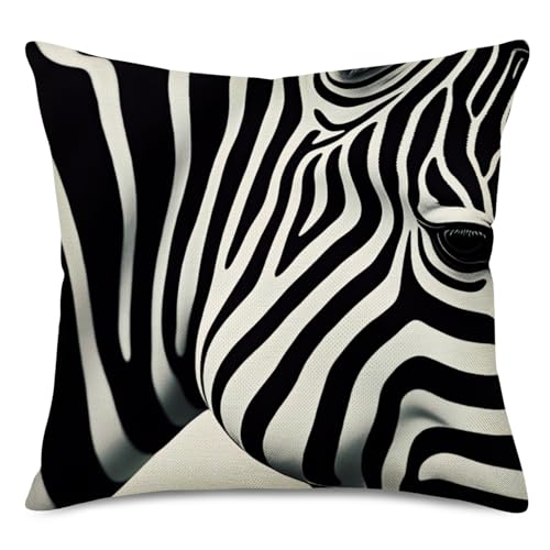 Zebra03