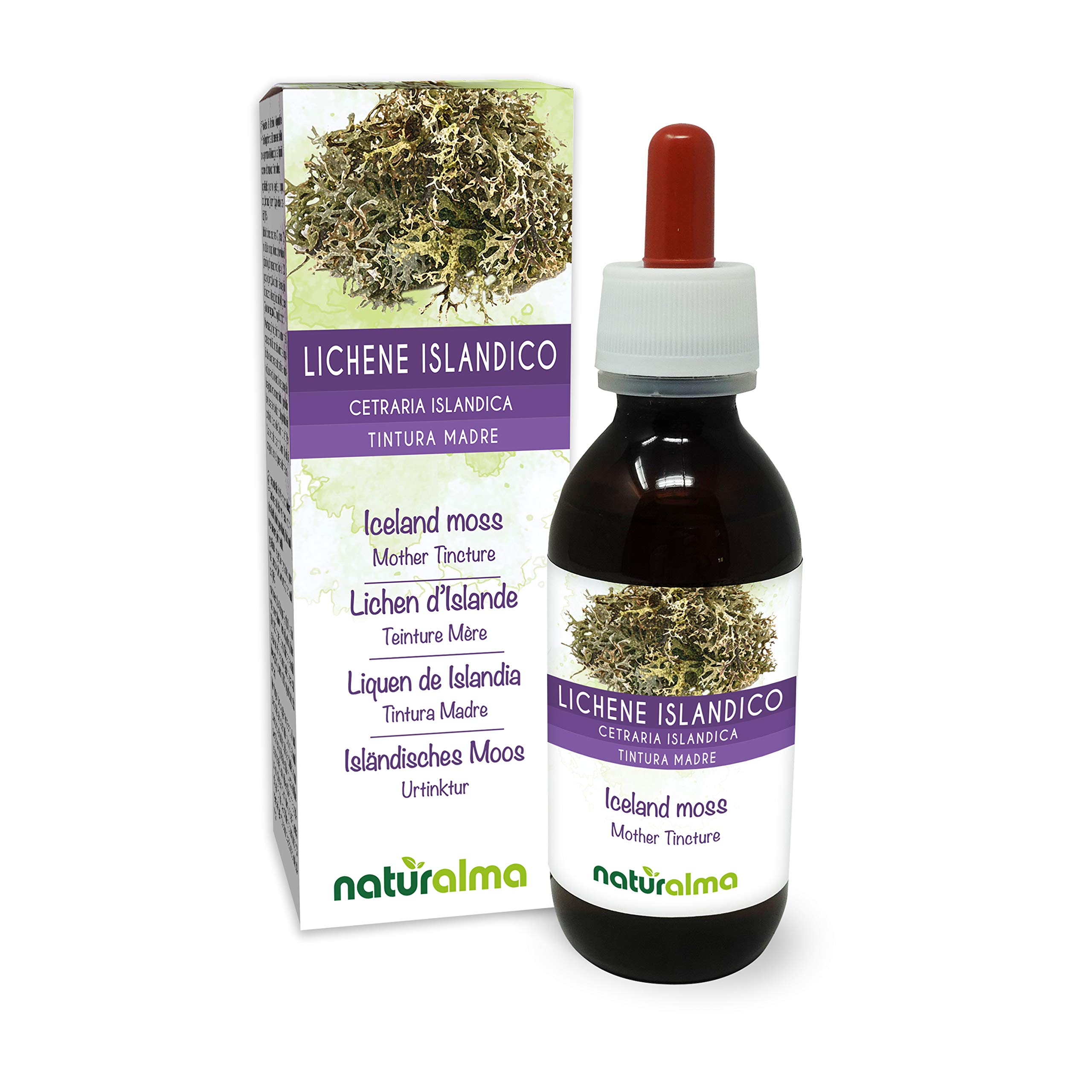 Iceland Moss (Cetraria islandica) Alcohol-Free Mother Tincture 120ml - Natural Herbal Liquid Extract Drops - Vegan Food Supplement for Immune Support & Respiratory Health - Perfect for Teas, Smoothies and Wellness Routines