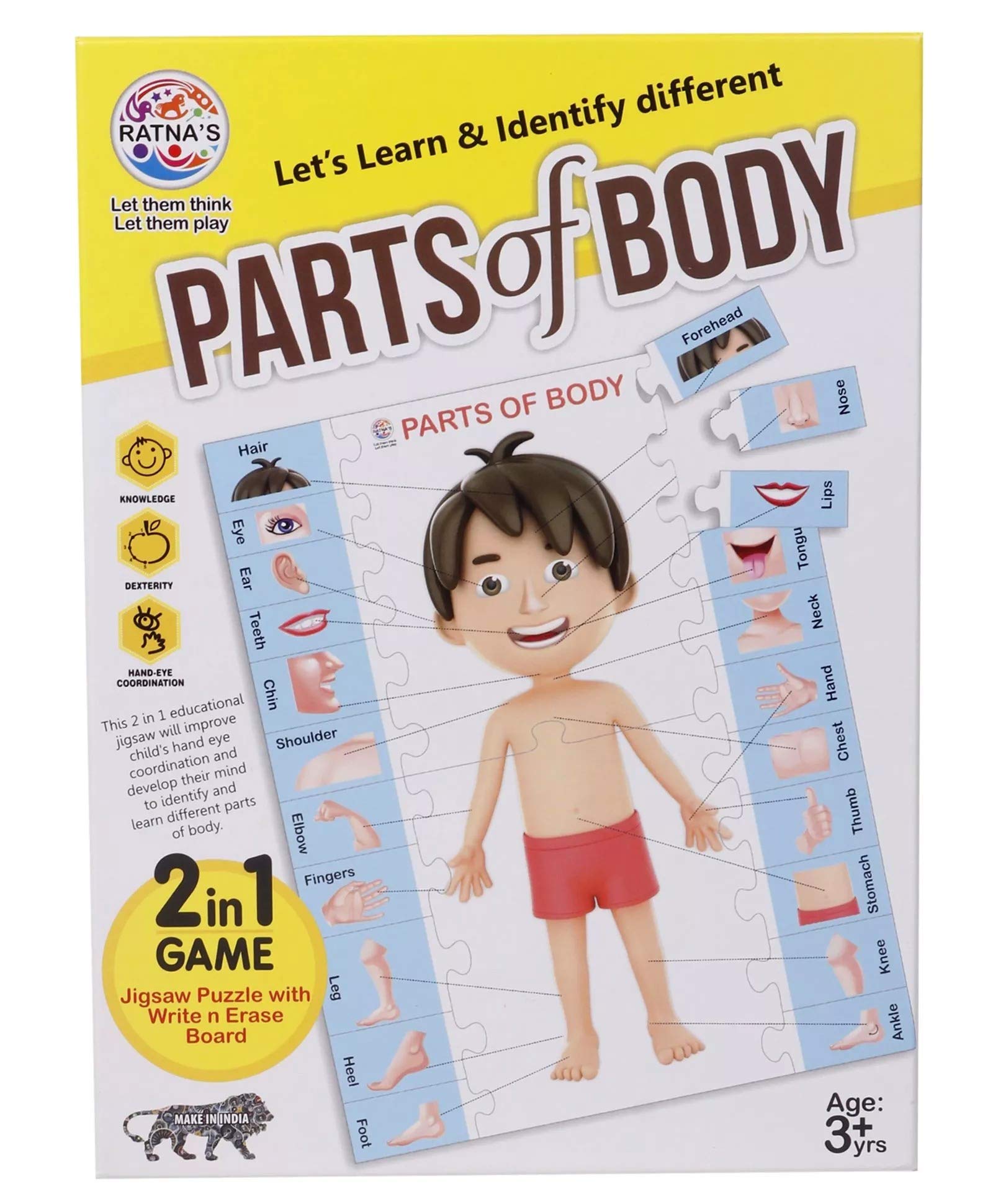 RATNA's 2-in-1 Educational Body Parts Jigsaw Puzzle for Kids with Write & Wipe Board - Learn Human Anatomy Through Play | Perfect for Homeschooling & Preschool Learning Activities